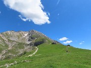 53 Verdi pratoni del PIancansaccio con vista in Val d'Arera e Capanna 2000 